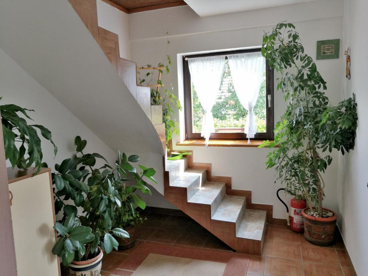 House Marica Vila Poljanak Exterior foto